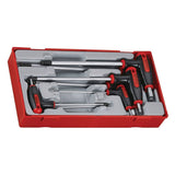 7PC T Handle Hex Key Tray