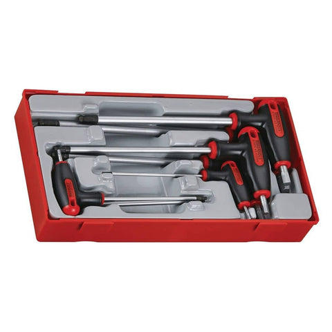 7PC T Handle Hex Key Tray